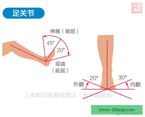 男子体操团体关节活动度，决定高难动作完成质量