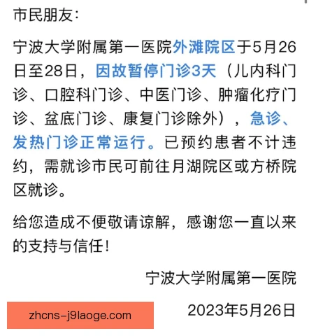 剑道医疗暂停规则解读，伤情判断影响比赛走向